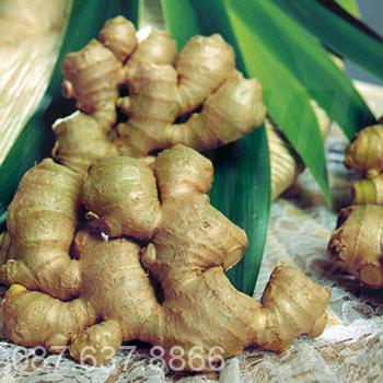Một số thực phẩm bảo vệ dạ dày của bạn