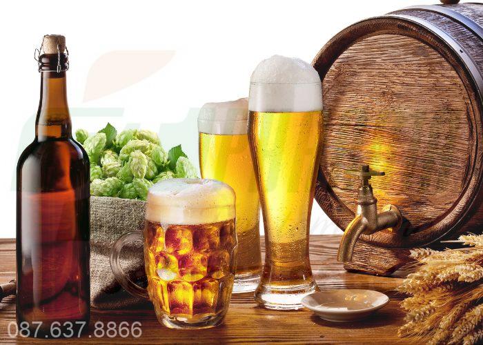 Sử dụng nhiều rượu bia cũng là một trong nhiều nguyên nhân dẫn đến nhiệt miệng 